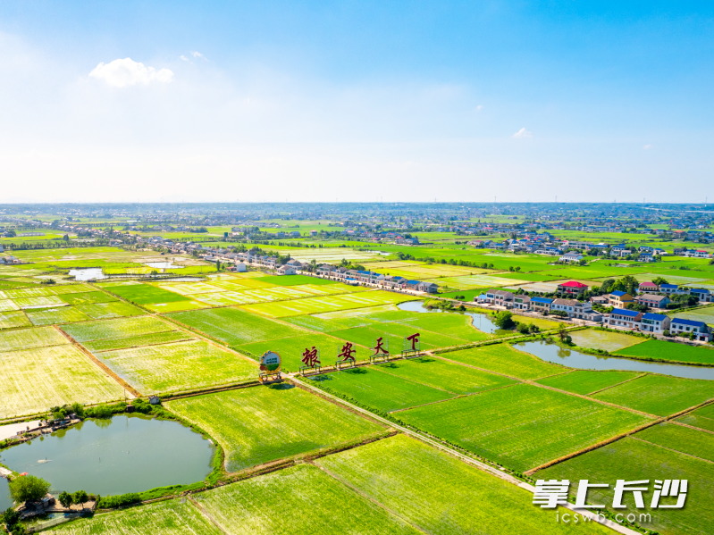 双江口镇建设万亩高标准农田,让这片丰饶土地更显蓬勃生机。 资料图片 双江口镇建设万亩高标准农田,让这片丰饶土地更显蓬勃生机。 资料图片