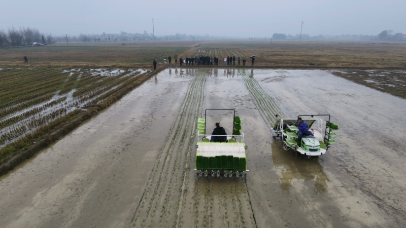 中国农业工程学会在长沙组织召开“水稻毯状苗切块抛秧机”评价会。图片来源于学会