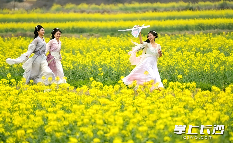 游客在望城茶亭镇赏花踏青。受访方供图