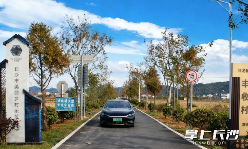 在宁乡回龙铺镇沩江之畔，藏着一座美丽的小村庄——丰收村。 均为长沙晚报全媒体记者张禹摄