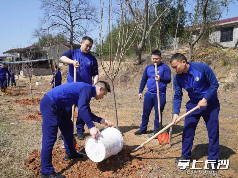 消防员为美丽宁乡添新绿。 长沙晚报通讯员 方圆 摄