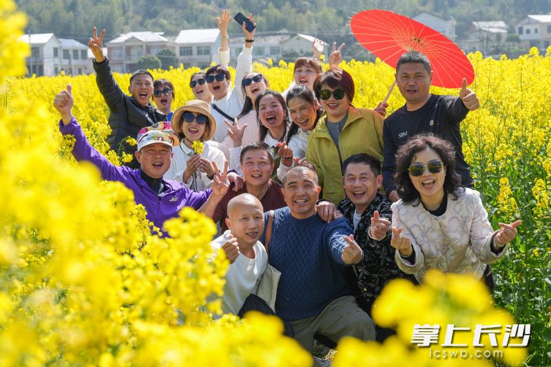 游客们在油菜花海里打卡拍照。