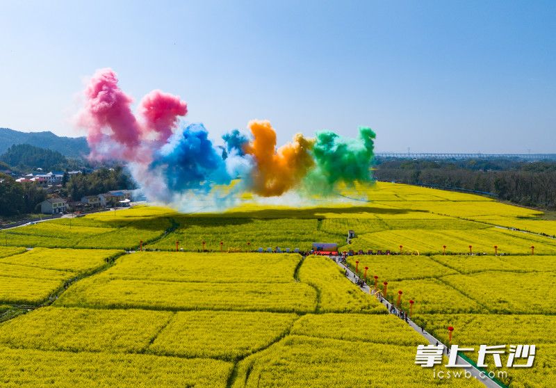 油菜花海里的七彩烟花。