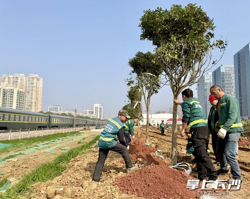 铁路沿线和公园小区之间新添一条生态绿廊。 均为长沙晚报全媒体记者李卓摄
