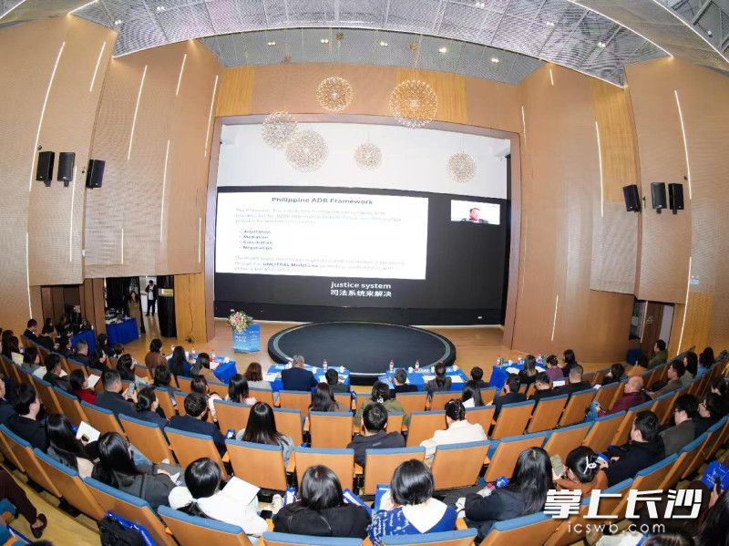 3月11日，“国际商事法律国别专场供需对接系列活动”之菲律宾专场在长沙举行。长沙晚报通讯员 汪悦 摄