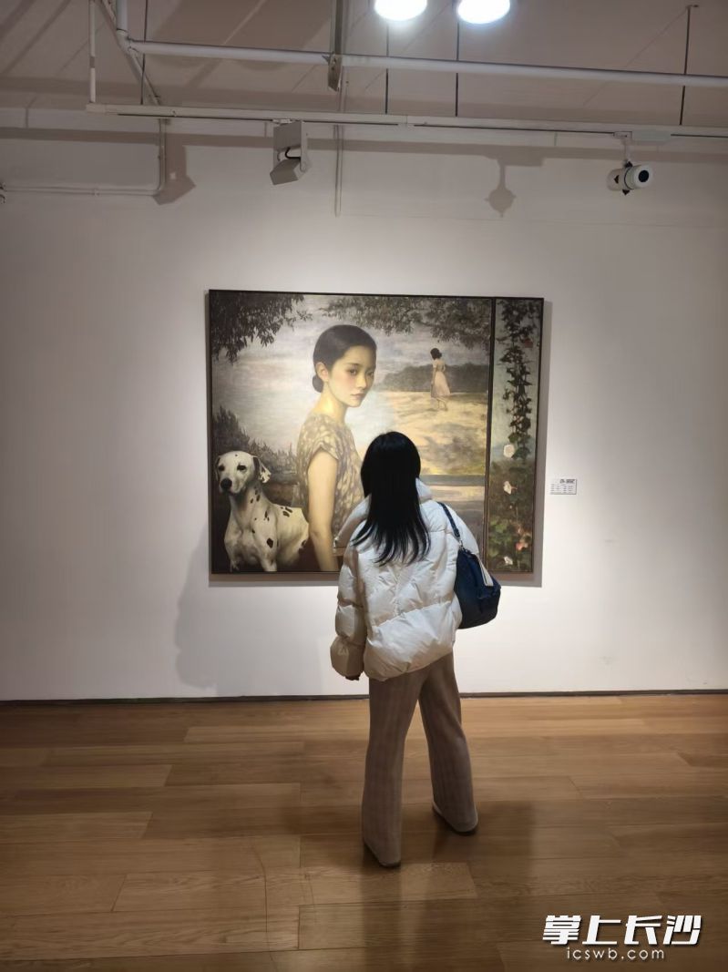 市民观展。 均为长沙晚报全媒体记者宁莎鸥摄