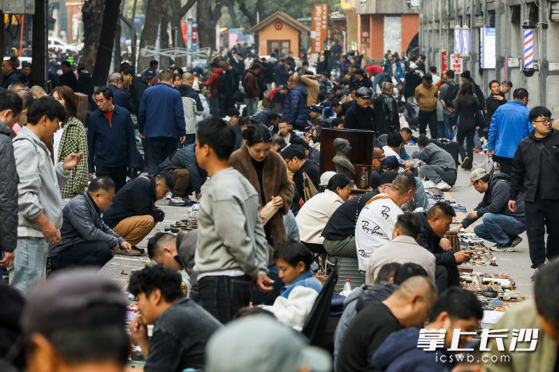 第35届湖南文物交流会今日在湖南大麓珍宝古玩城前坪举行。 均为长沙晚报全媒体记者董阳摄