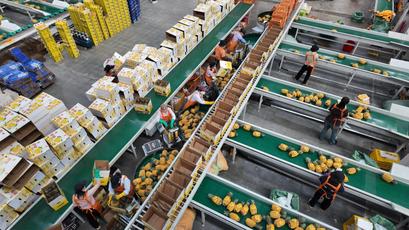 智能分选线对出库果品进行无损检测。长沙晚报全媒体记者　周辉霞摄