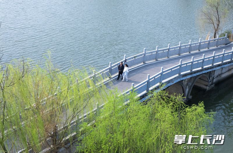 石拱桥之上，游客结伴漫步。