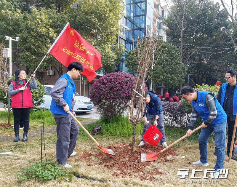 3月12日，银桂苑社区开展“植此青绿 文明接力”关爱自然学雷锋志愿服务活动。均为通讯员杨东方供图