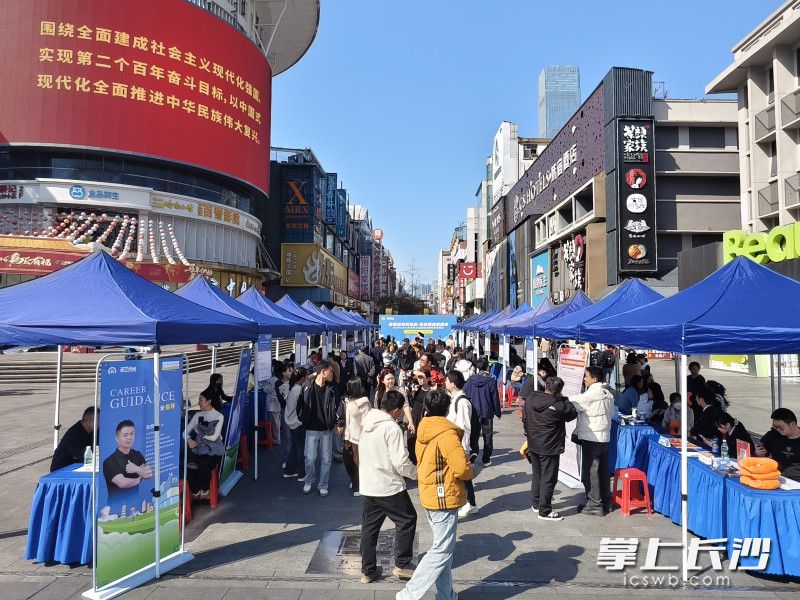 招聘会吸引不少人关注。 均为长沙晚报全媒体记者洪虹摄