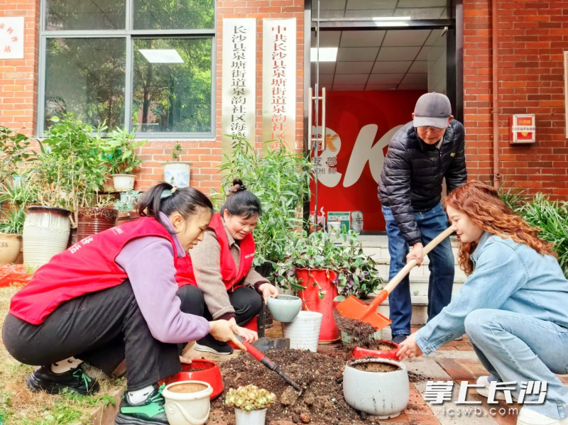 志愿者正在为废旧花盆栽种上绿植。 均为长沙晚报通讯员 栗稳 摄