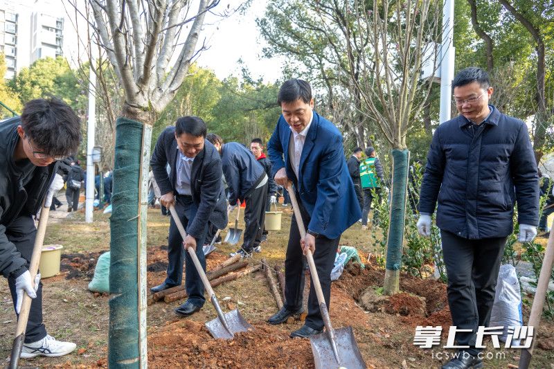 中南大学百余名师生共同在“学院林”种下绿植。均为通讯员 张乐婷 供图