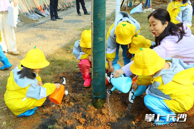 铁道幼儿园的孩子们也加入植树行列。