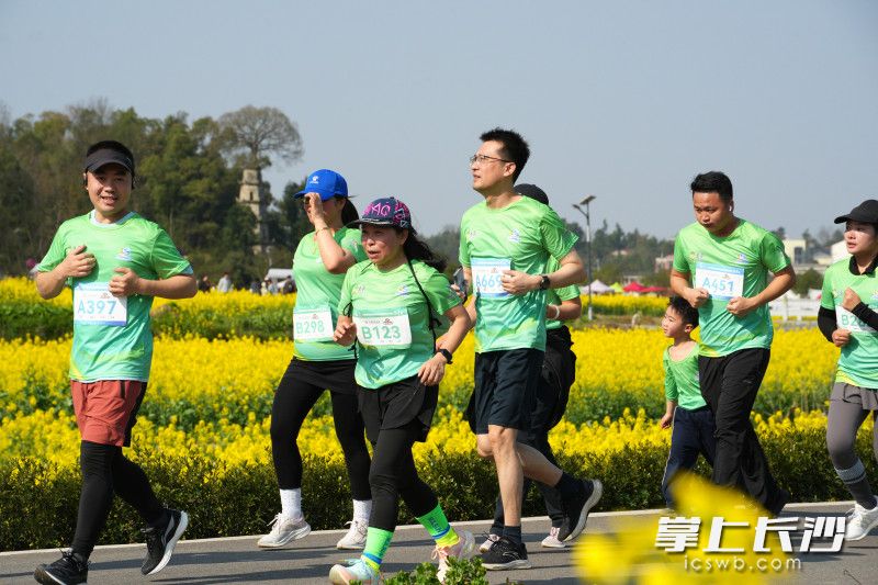 本届赛事赛道约9公里,串联起当地核心景观资源。 本届赛事赛道约9公里,串联起当地核心景观资源。