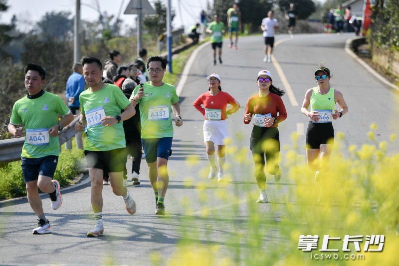 跑友们迎着暖阳驰骋在万亩金色油菜花海中。 跑友们迎着暖阳驰骋在万亩金色油菜花海中。