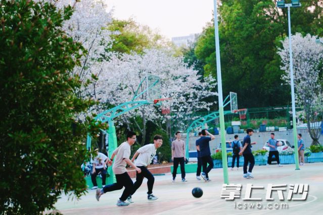 长沙气温稳步回升至24℃左右，街头巷尾春意盎然。  长沙晚报全媒体记者 舒元臻摄