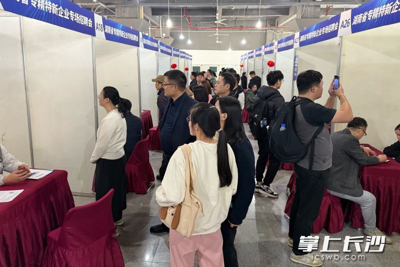 3月14日，2026年“湘人才”公益招聘活动第六场——湖南省专精特新企业专场招聘会举办。