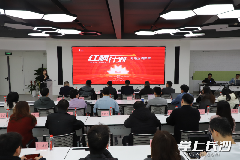 2026年首场“红枫计划”立项评审现场。长沙晚报通讯员供图