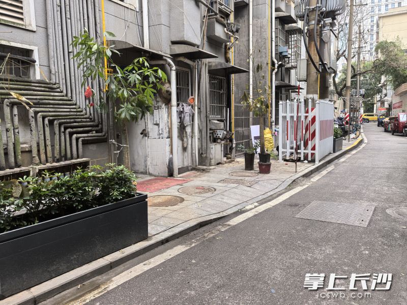 废品堆码处如今增设了花箱绿植。 长沙晚报全媒体记者 李卓 摄 废品堆码处如今增设了花箱绿植。 长沙晚报全媒体记者 李卓 摄