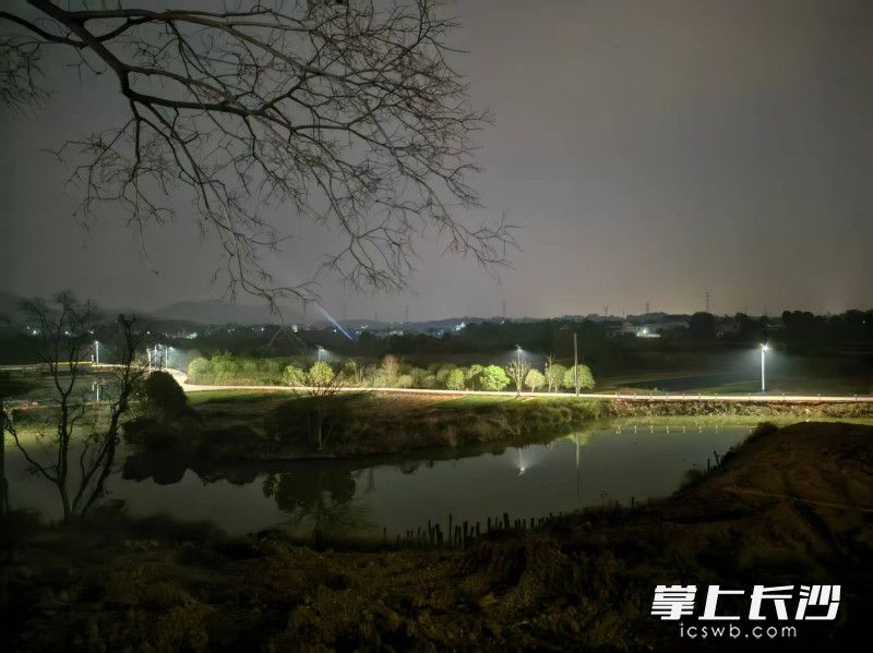 1400米村道在夜晚全部亮了起来。