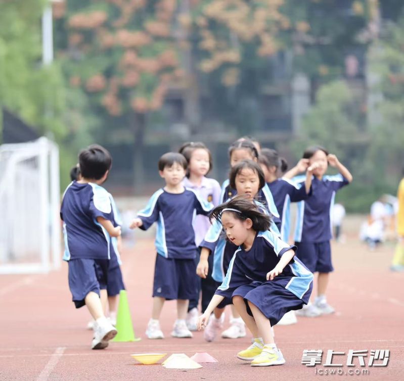 目前学校构建“低段兴趣启蒙—高段技能进阶”阶梯式培养体系。