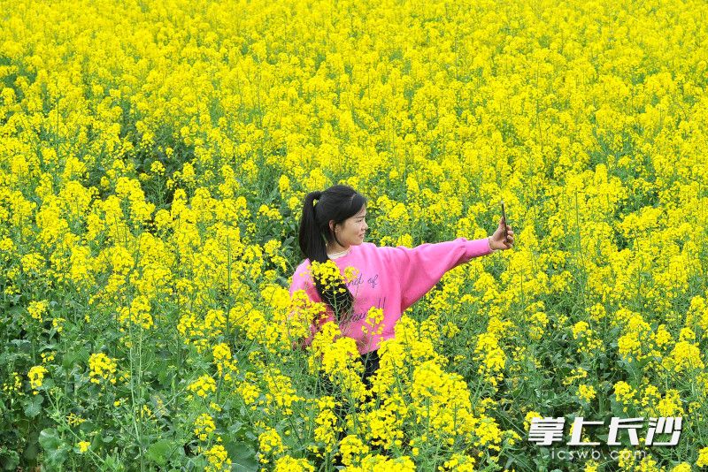 花田美食文化节等你来打卡。
