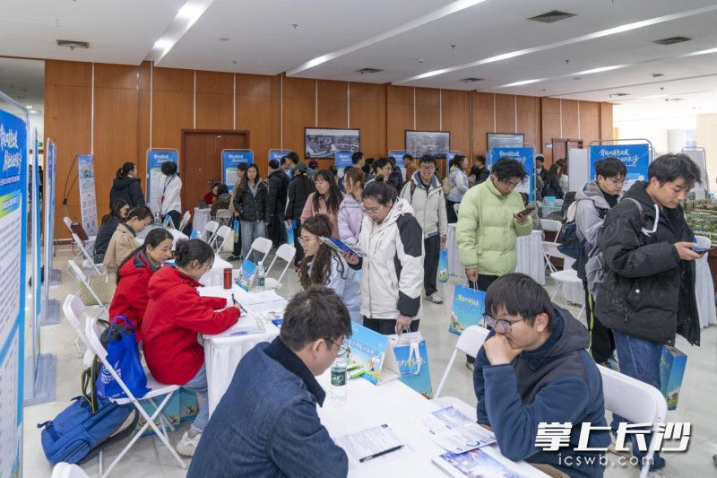 “一对一”引才洽谈活动现场。