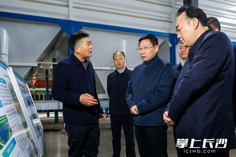 陈博彰在长沙龙虎生态农业科技有限公司双季水稻种植基地调研并开展巡田。 均为长沙晚报全媒体记者董阳摄