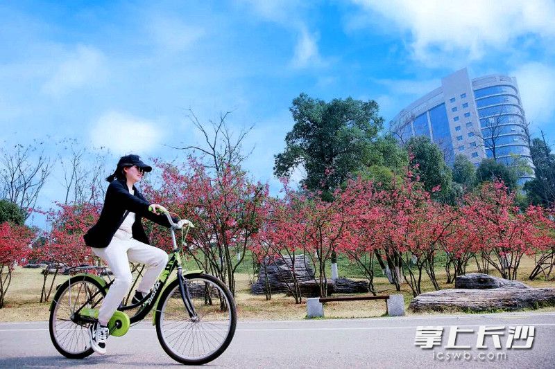 丰富花卉品种，打造四季有景。