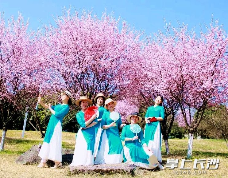 市民打卡美丽春景。均为长沙晚报通讯员 刘静 摄