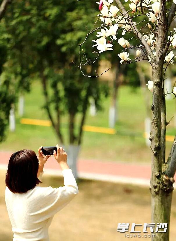 绿色福利直达市民家门口。