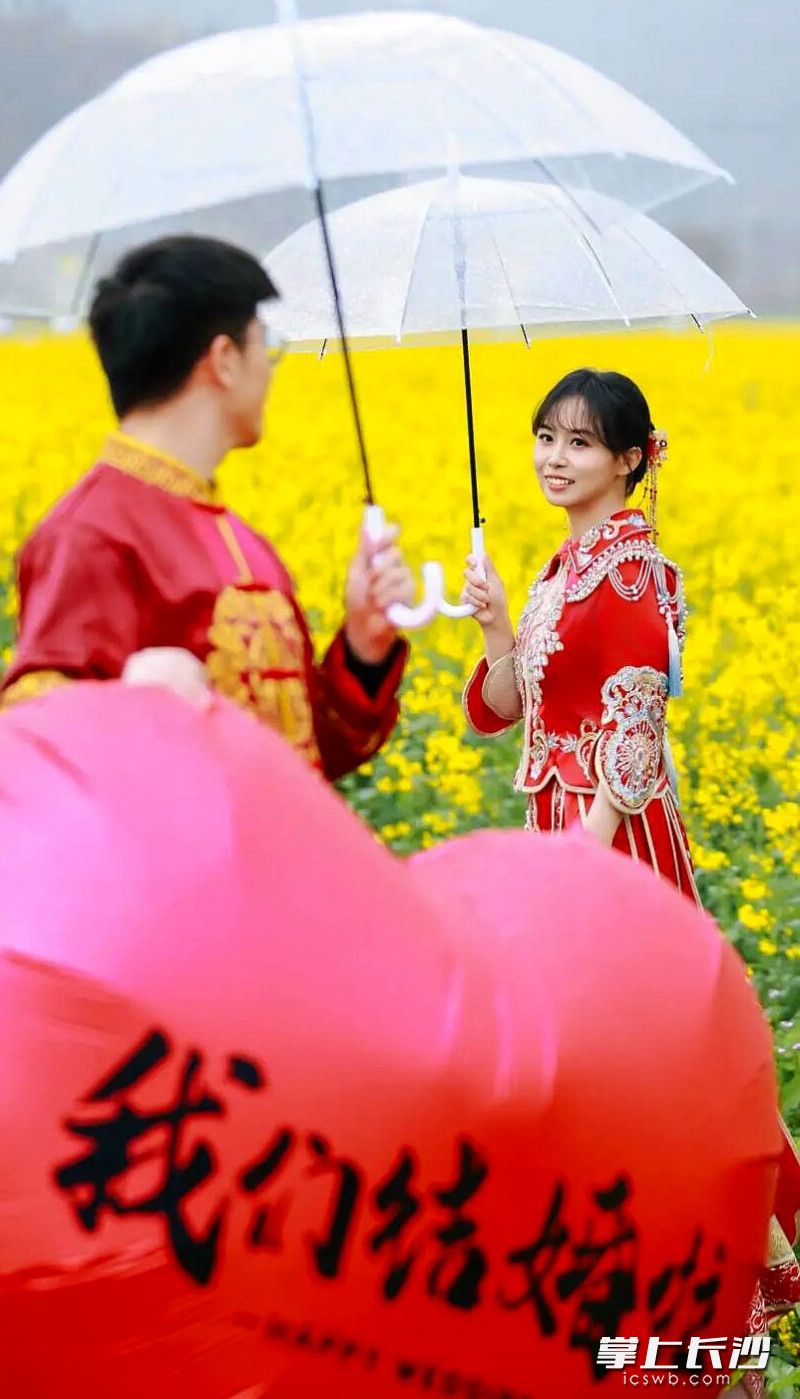 春光为幕、花海为盟。