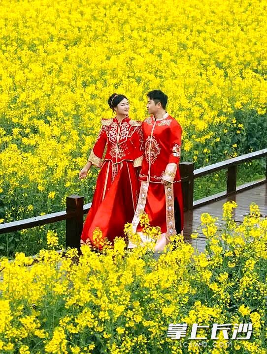 新人牵手漫步花田之间。