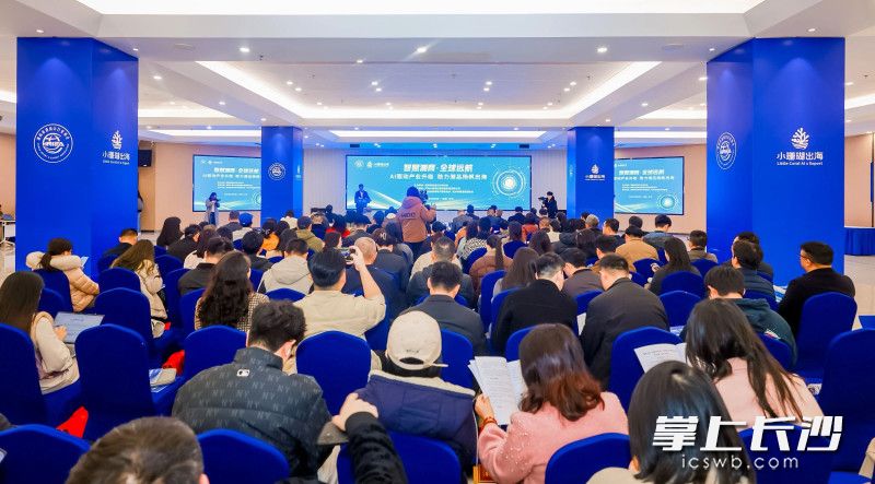 3月20日，以“智赋湘商・全球远航”为主题的“湘贸全球”AI+赋能行动启动仪式在中非经贸合作促进创新示范园举行。全媒体记者 周游 摄