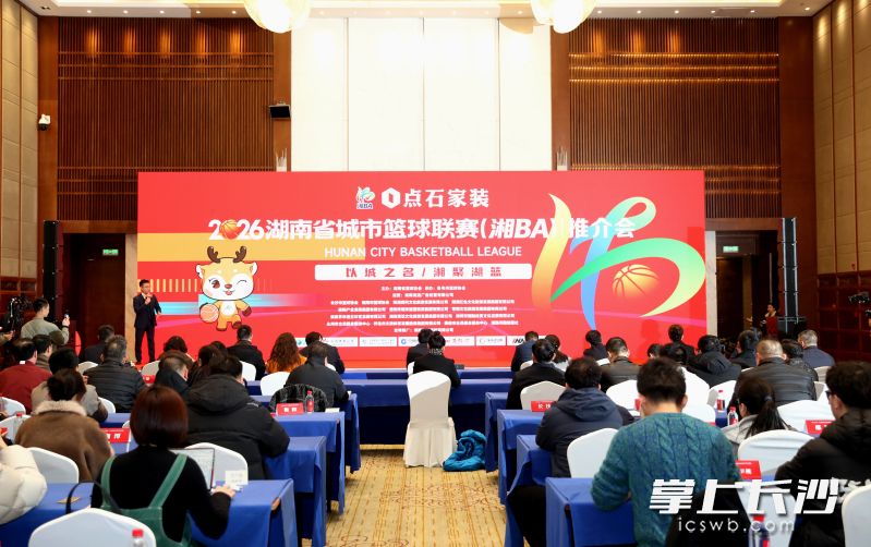 推介会现场。 长沙晚报通讯员 陈放 摄