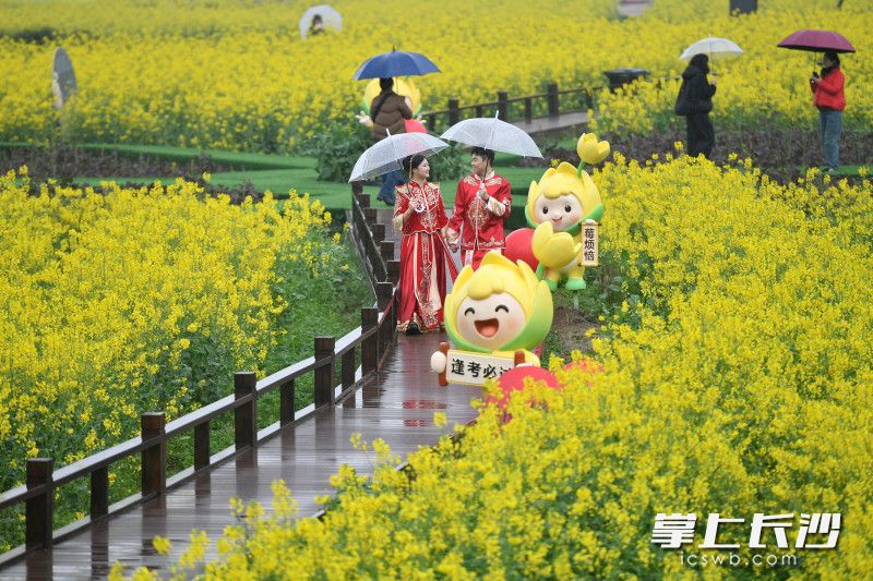 在花海中留下幸福身影。