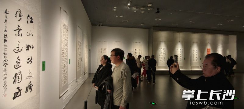观众驻足欣赏佳作。 长沙晚报全媒体记者 肖舞 摄 观众驻足欣赏佳作。 长沙晚报全媒体记者 肖舞 摄