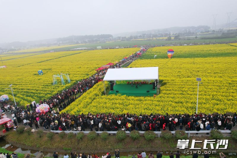宁乡市菁华铺乡陈家桥村一年一度的油菜花季正式开幕。 长沙晚报全媒体记者 张禹 通讯员 黄勇 摄 宁乡市菁华铺乡陈家桥村一年一度的油菜花季正式开幕。 长沙晚报全媒体记者 张禹 通讯员 黄勇 摄