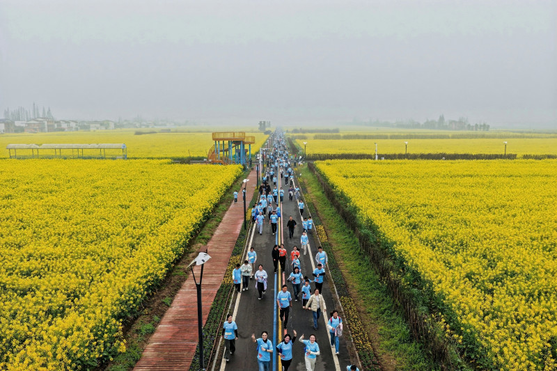 跑者畅跑花海