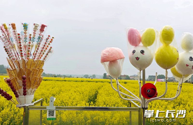 美食摆在花田间，想吃扫码自取。