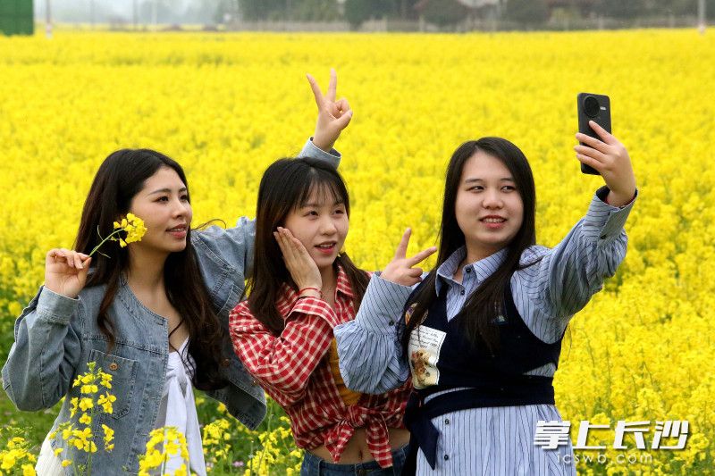 前来赏花打卡品美食的游客三天突破2万人次。