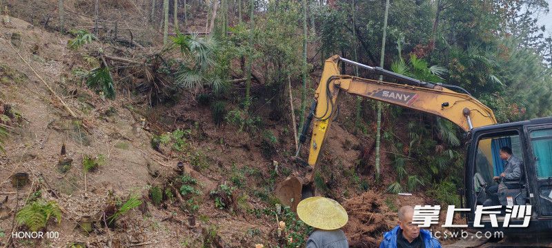 挖机开挖定植穴，将对古树进行移植。