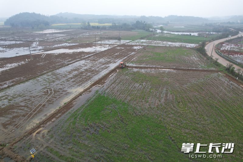 农机在田野里耕耘。