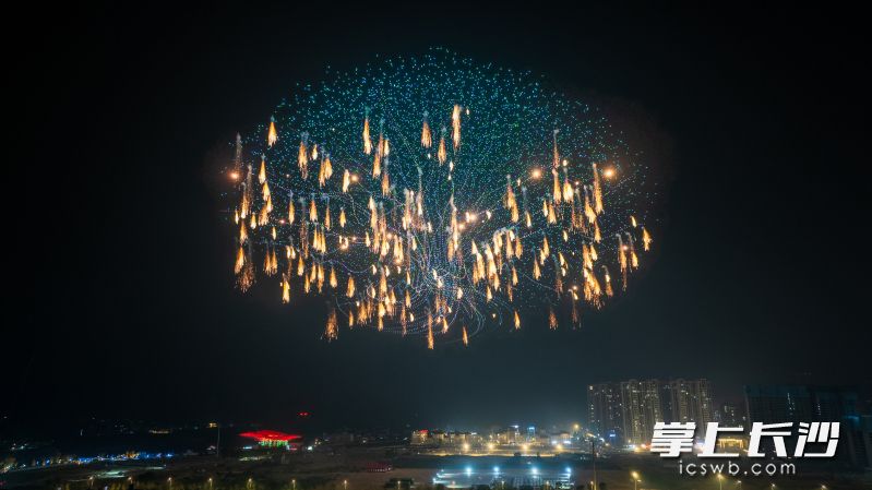 第十七届浏阳花炮文化节焰火画面“生命之树” ,由湖南花火剧团打造,创下两项吉尼斯世界纪录。 均为通讯员供图 第十七届浏阳花炮文化节焰火画面“生命之树” ,由湖南花火剧团打造,创下两项吉尼斯世界纪录。 均为通讯员供图