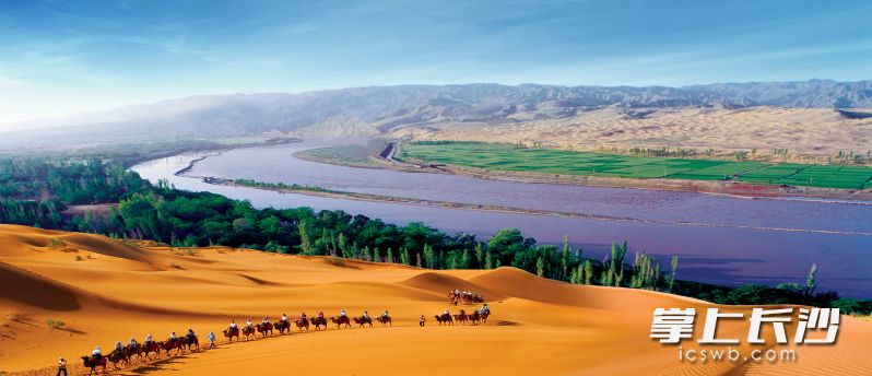 中卫风光。 均为主办方供图