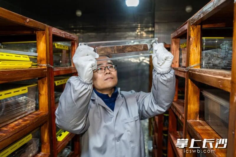 罗小华正在库房里检查简牍。