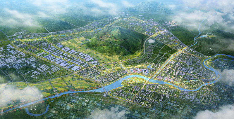 宁乡金洲新城鸟瞰图。除署名外均为受访者供图