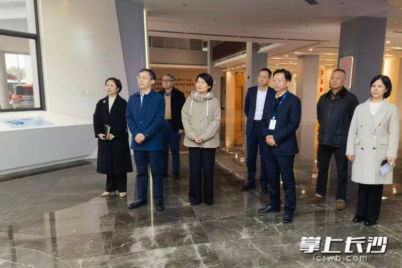 调研现场。 长沙晚报全媒体记者 盛磊 摄