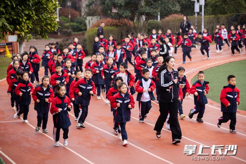 早晨8点,“青枫跑团”的成员们在体育老师带领下晨跑。 早晨8点,“青枫跑团”的成员们在体育老师带领下晨跑。